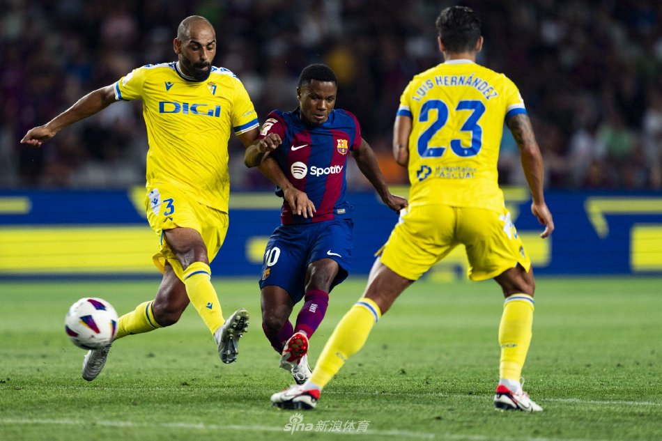 涯不仅仅代 涯不仅仅代